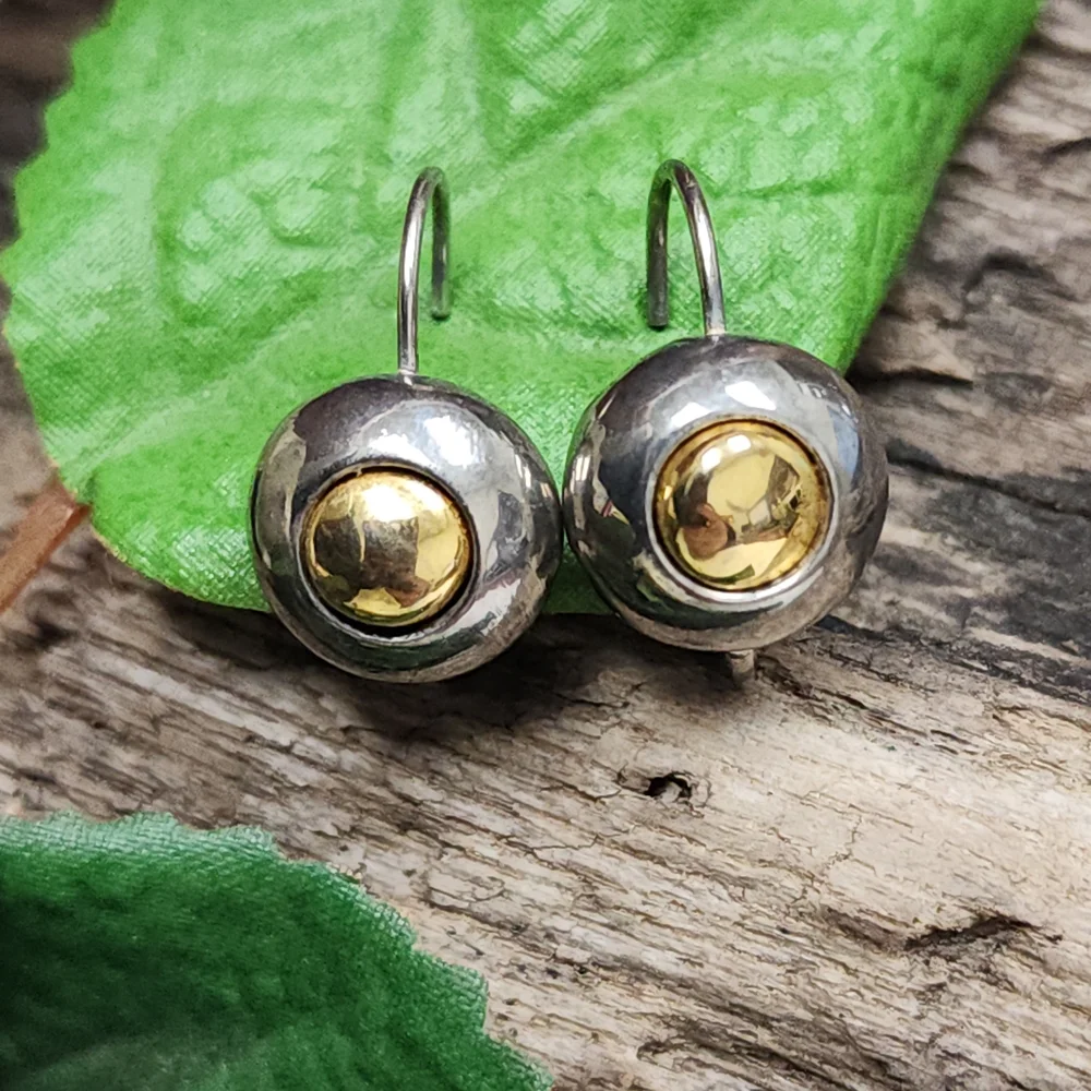Two Toned Silver Toned and Gold Toned Circle Lever Back Earrings